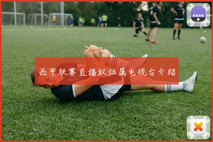 西甲联赛直播权归属电视台介绍