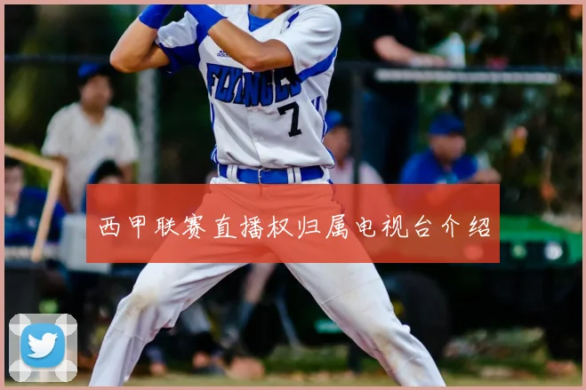 西甲联赛直播权归属电视台介绍